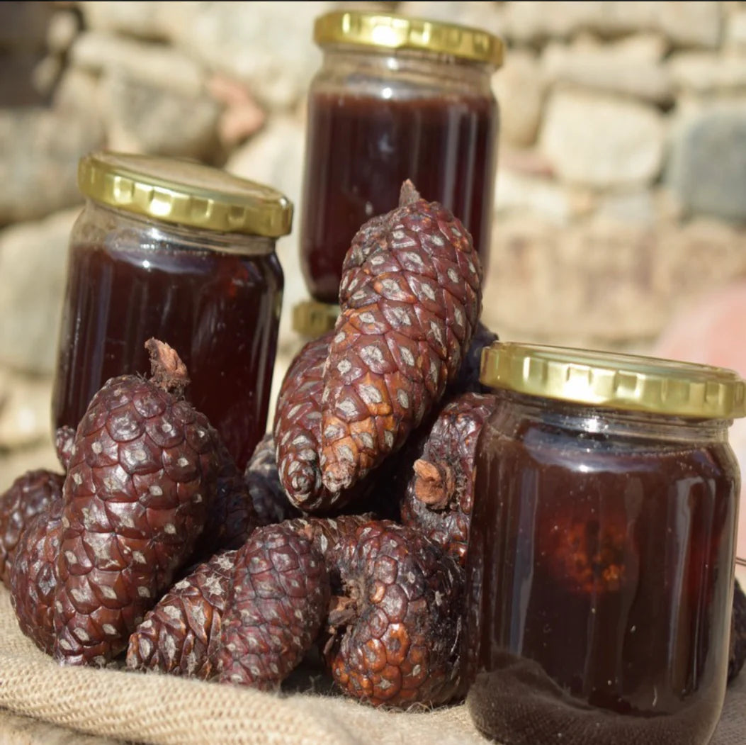 Natürlicher Kiefernzapfensirup: Gesundheitsfördernde Wirkung und vielseitige Anwendung