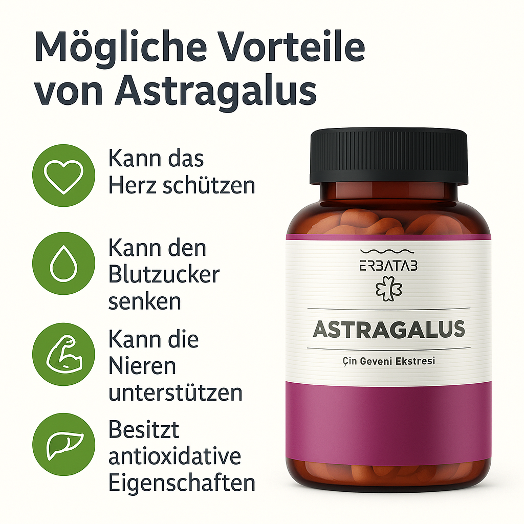 Erbatab Astragalus – Çin Yastıkotu Ekstresi – 60 Kapsül